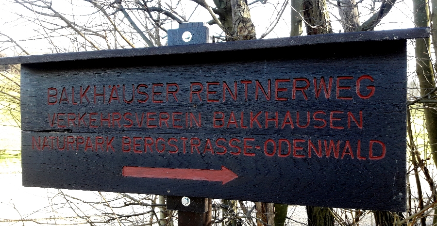 Schild